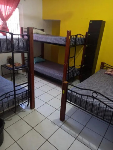 Hostel Monkey — фото 2