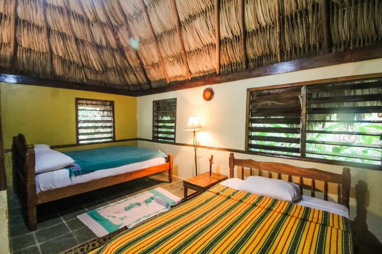 Cohune Palms River Cabanas — фото 3