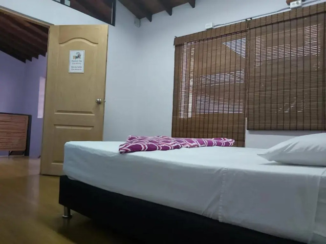 Purple Monkey Hostel — фото 3