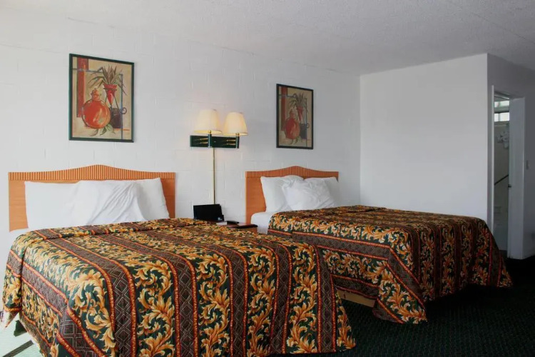 Amazon Motel — фото 3