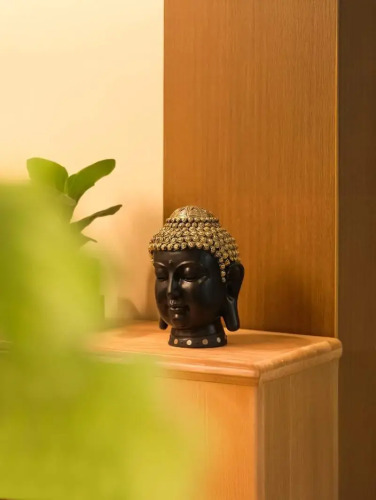 Отель Tranquil Wellness Tower