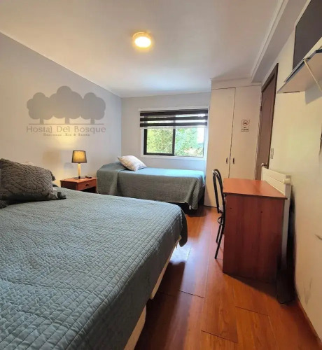 Hostal Del Bosque Temuco — фото 2
