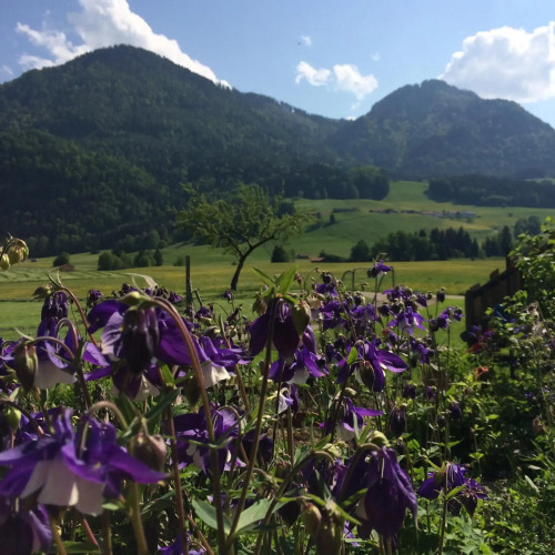 Schifterhof Ruhpolding — фото 4
