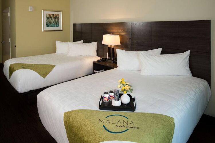 Malana Hotels & Suites — фото 2
