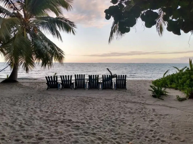 Finca Beachfront Tree house — фото 5