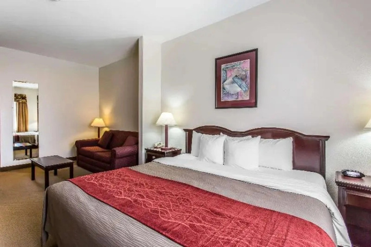 Quality Inn & Suites — фото 2