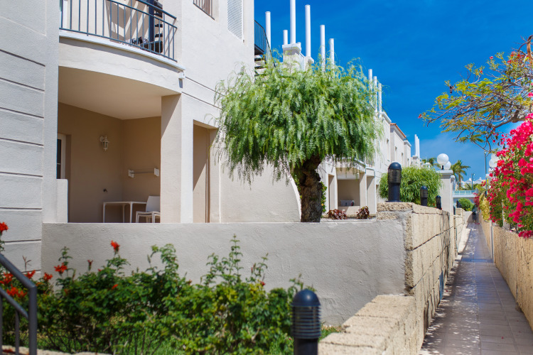 Los Olivos Beach Resort