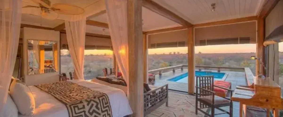 Feline Fields By Mantis — фото 3