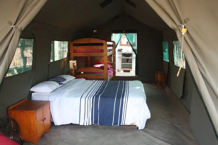 Warthogs Safari Camp — фото 3