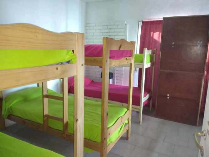 Oli Hostel — фото 2