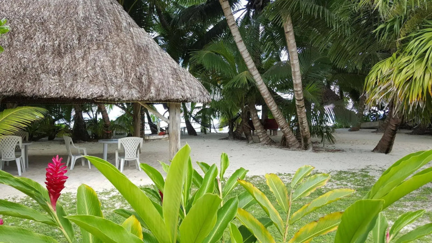 Anse Kerlan Beach Chalets — фото 4