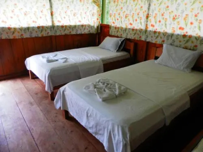 Amazon Eco Tours & Lodge — фото 3