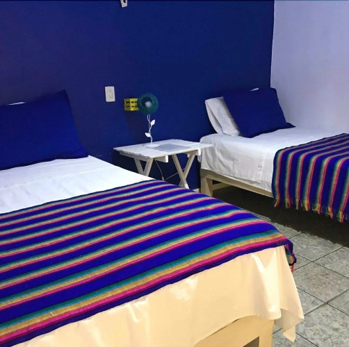 Hostal Tlaquepaque — фото 3