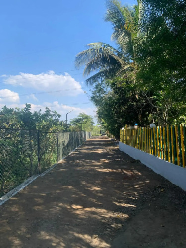 Raghunandan Resort — фото 2