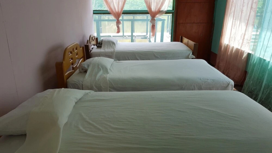 My Amazon Lodge — фото 3