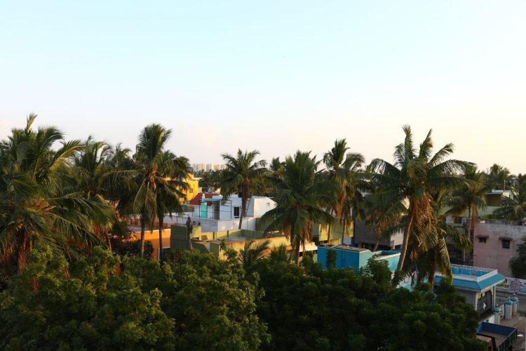 Saibala Inn — фото 3