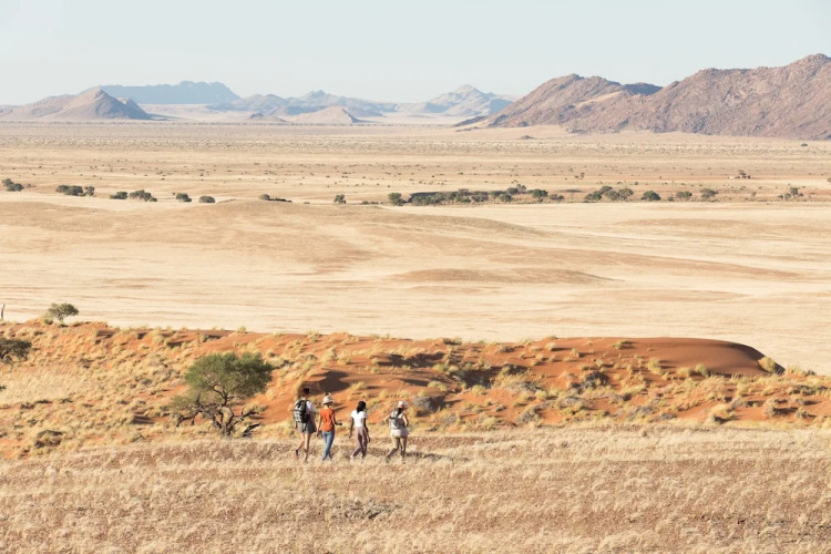Desert Whisper — фото 3