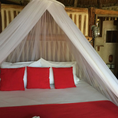 Hotel Calaluna Tulum - Adults Oriented — фото 3