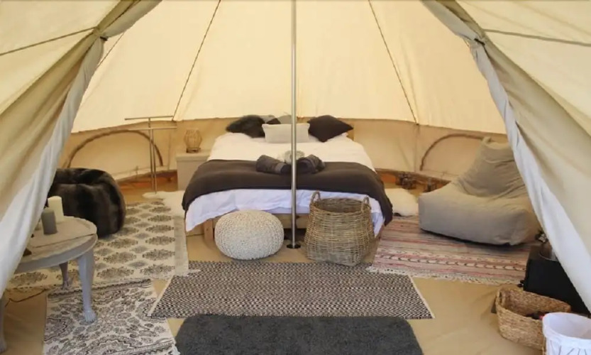 Firs Glamping — фото 2
