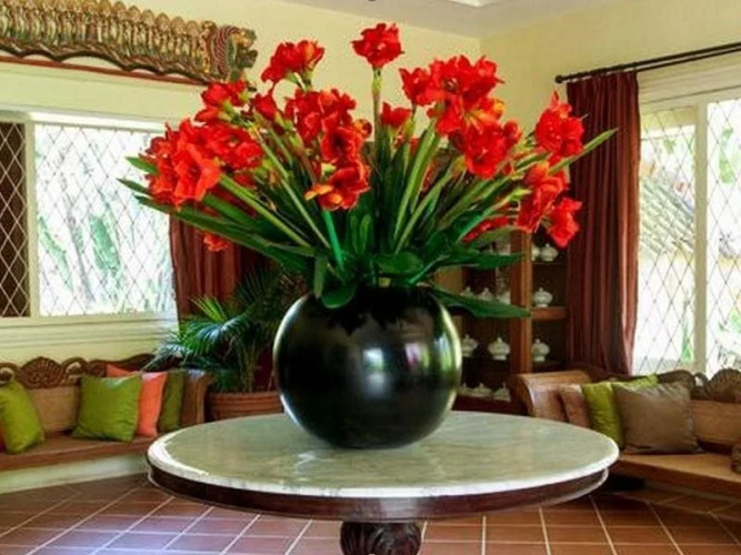 Gladiola Guest House — фото 3