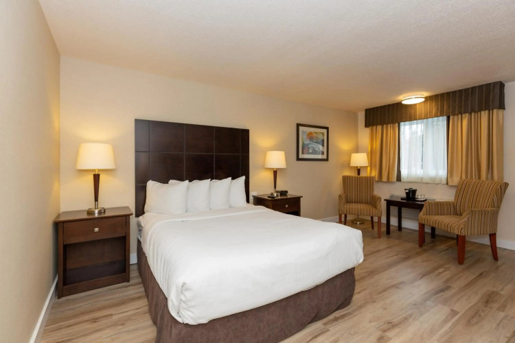 Quality Inn & Suites — фото 4