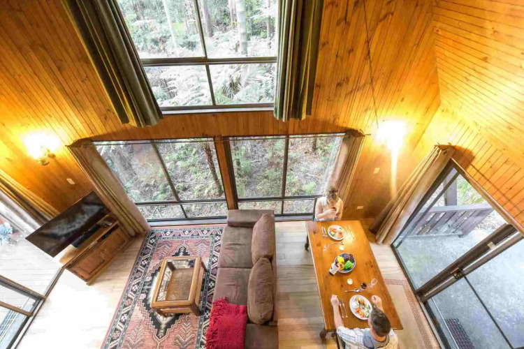 Springbrook Mountain Chalets — фото 5