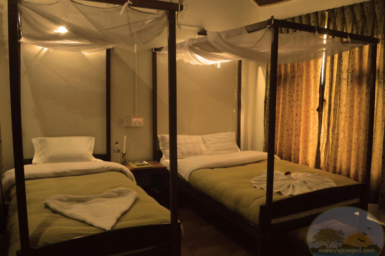 River View Jungle Camp — фото 3