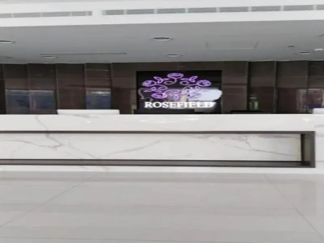 Rosefield Hotel — фото 2