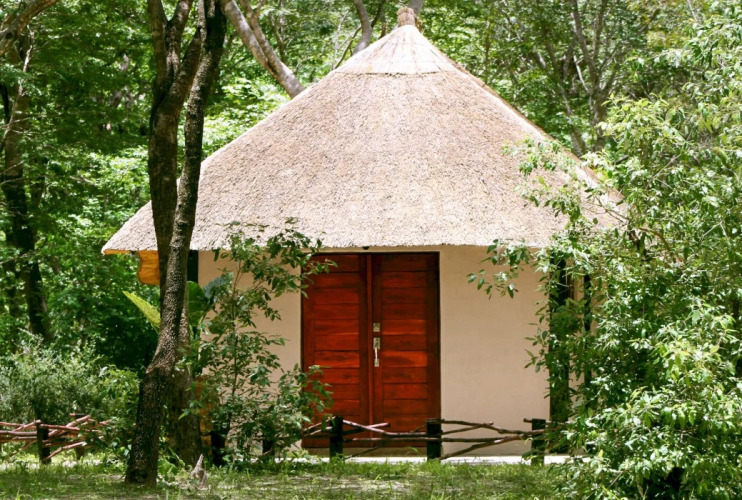 Gwango Elephant Lodge — фото 5