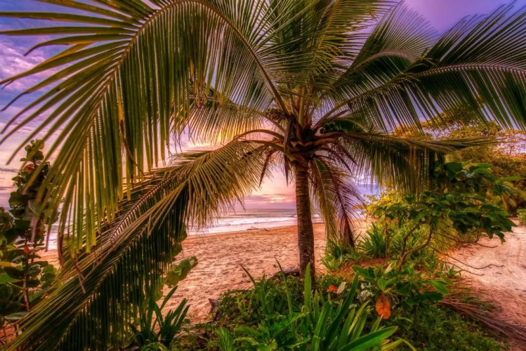 Oasis Bluff Beach — фото 4