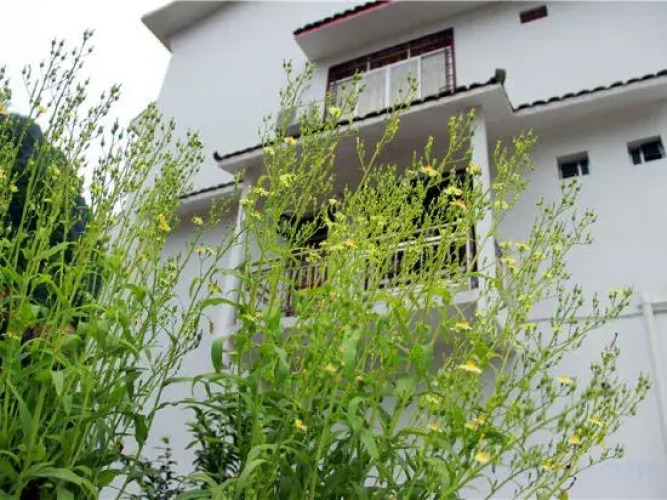 Moon Hill House — фото 4