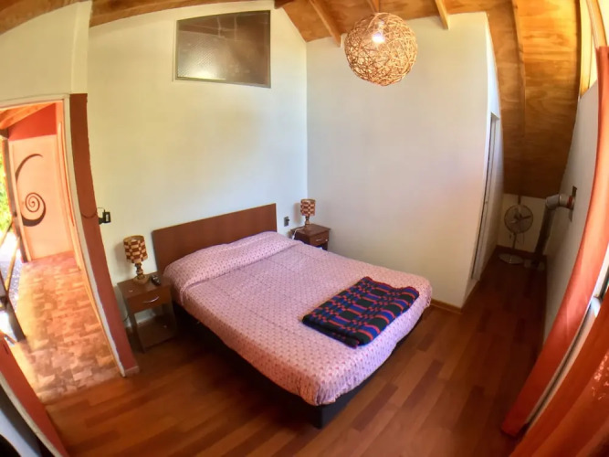 Gecko Hostel — фото 3