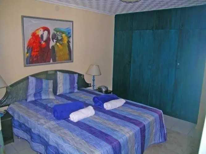 Calpe Apartamento Harry — фото 3