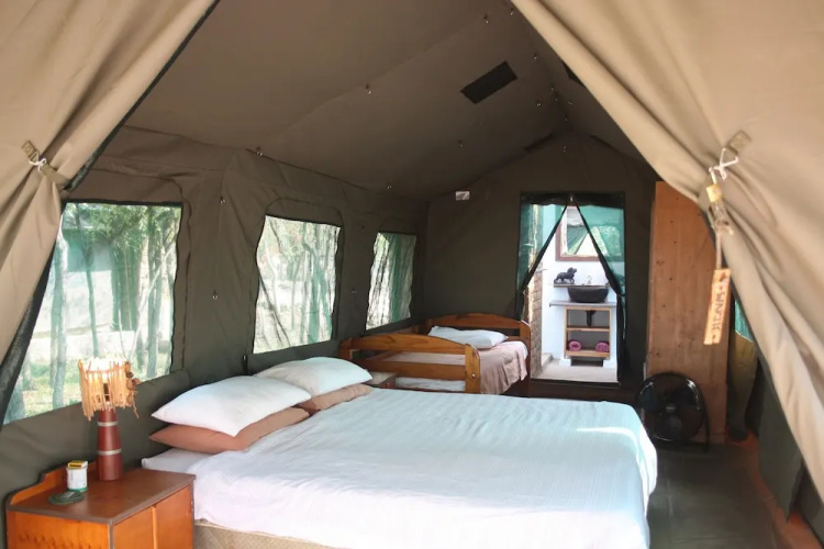 Warthogs Safari Camp — фото 2