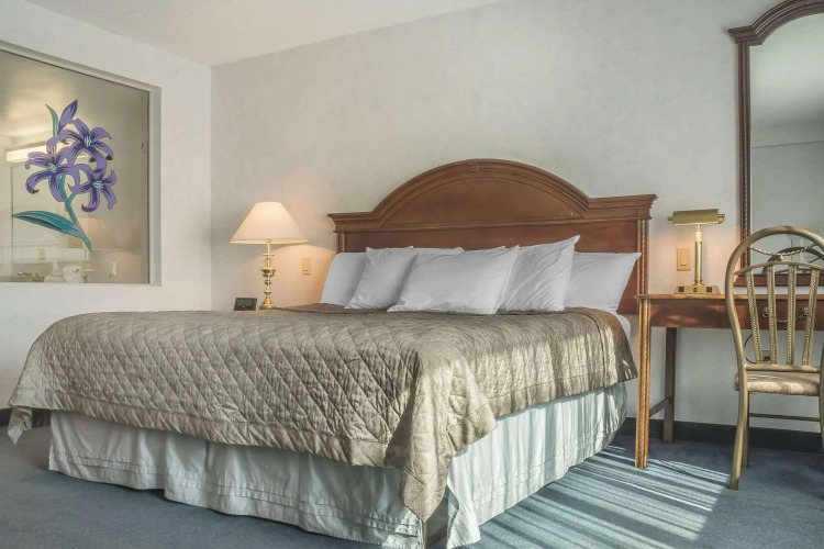 Rodeway Inn Fallsview — фото 4