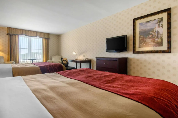 Comfort Inn & Suites — фото 5