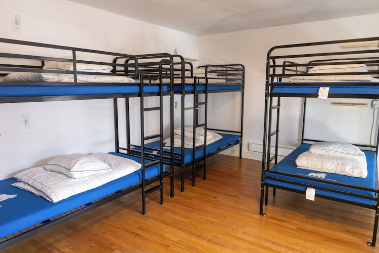 Treehouse Hostel — фото 3
