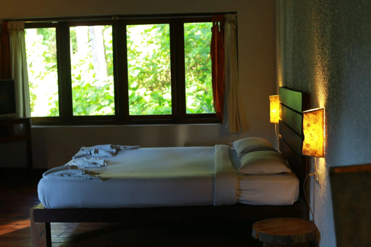 Green Spaces Munnar — фото 4