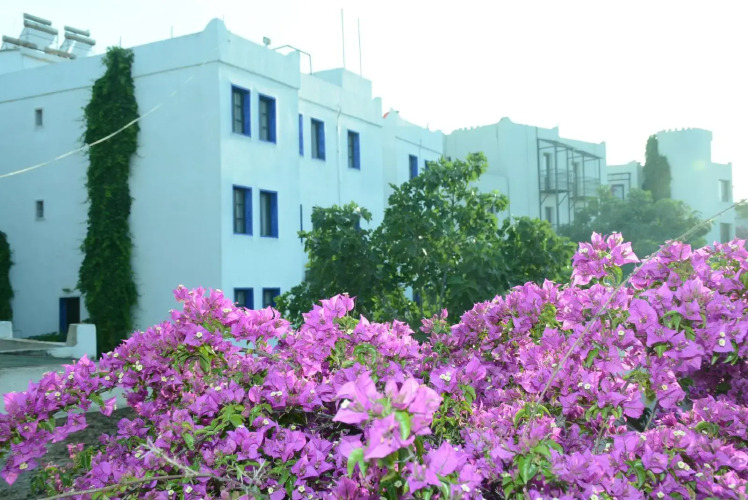 Bodrum Park Hotel — фото 3