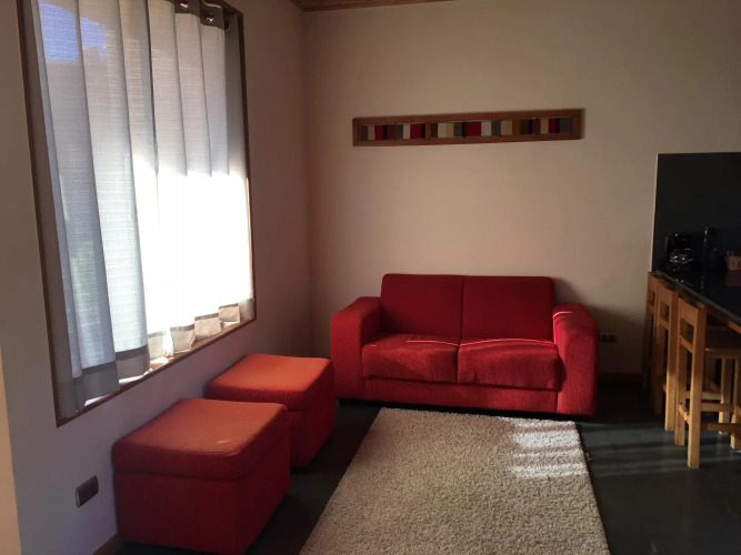 Loft Pucon Apart Hotel — фото 2