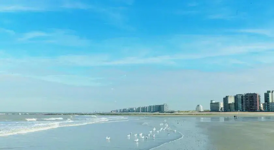 Beachstudio — фото 3
