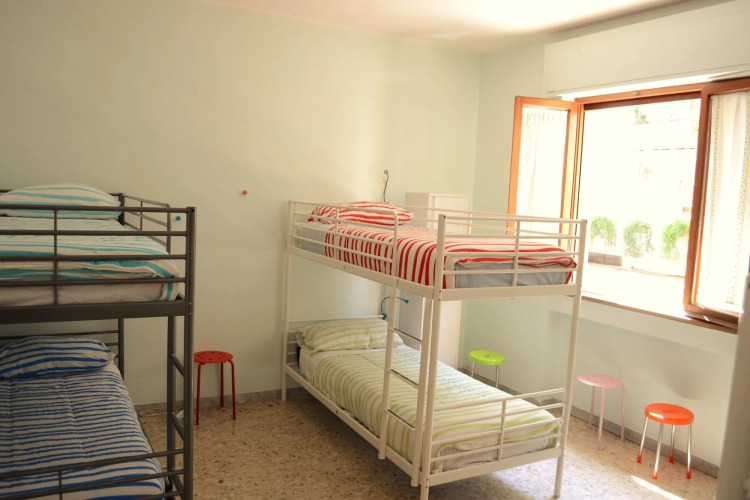Olive Tree - Hostel — фото 3
