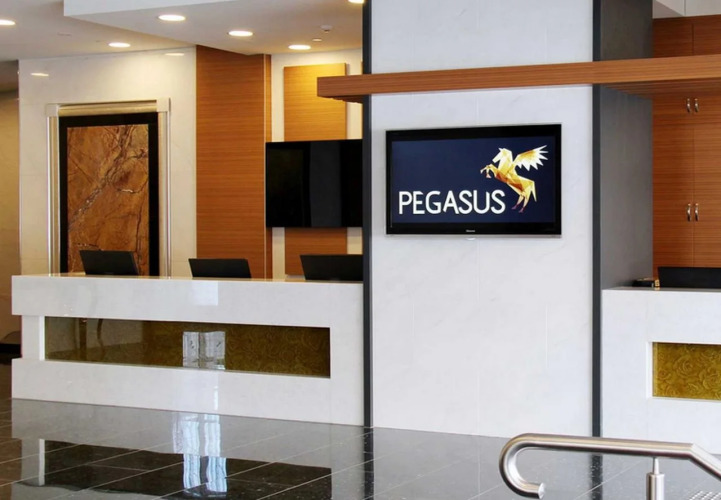 Pegasus Apart'Hotel — фото 2