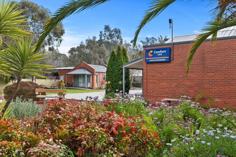 Comfort Inn Coach & Bushmans