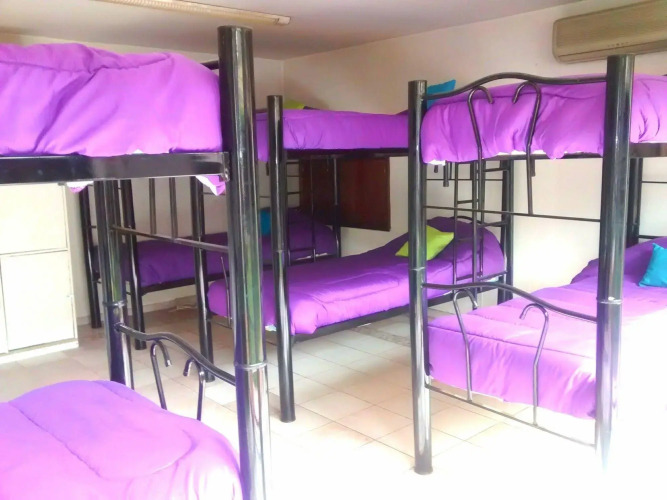 Gorilla - Hostel — фото 4