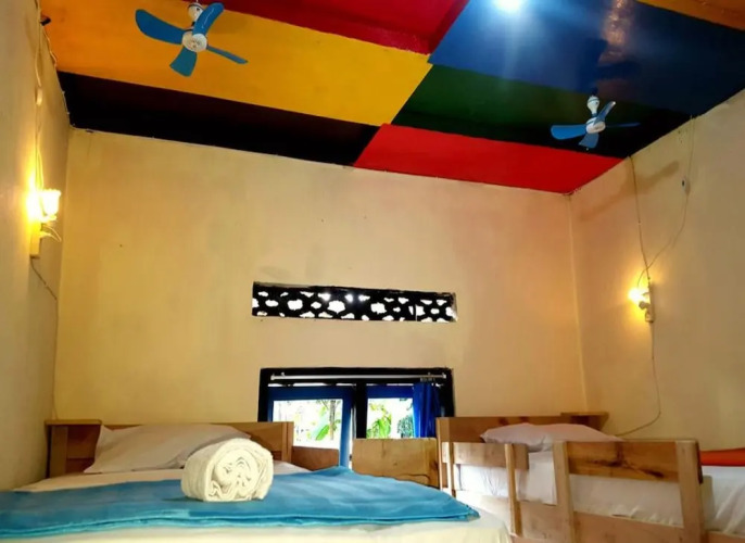 Dodo Dormitory Backpacker — фото 2
