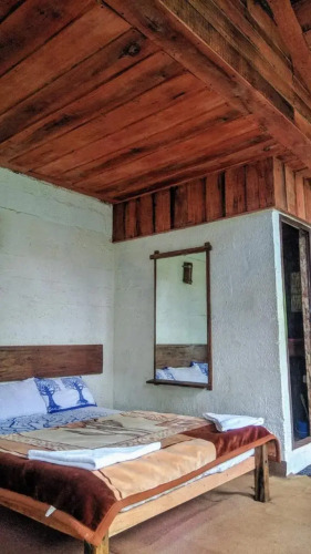 Jungle Jive Tree House Munnar — фото 2