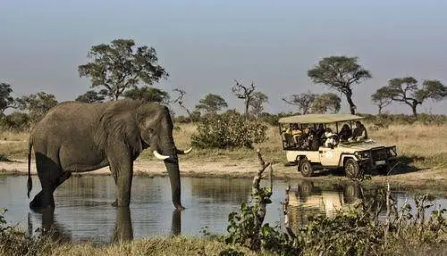 Orient-Express Safaris — фото 2