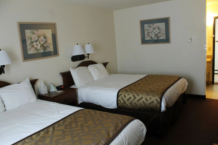 Lone Tree Inn — фото 2