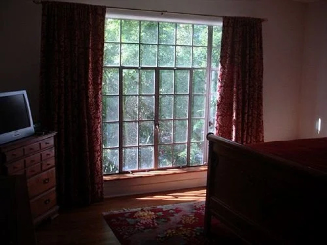 IvyWild Inn — фото 4